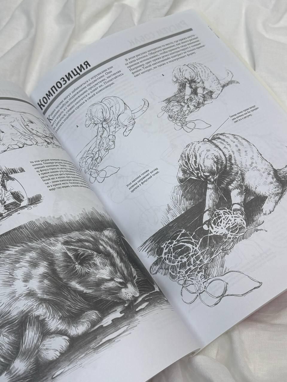 Полный курс рисования | Complete Drawing Course - Ozon image 7