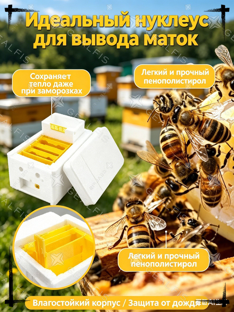 Нуклеус для пчел на 4 рамки, микроулей из пенополистирола-утепленный домик для вывода маток, профессиональный #1