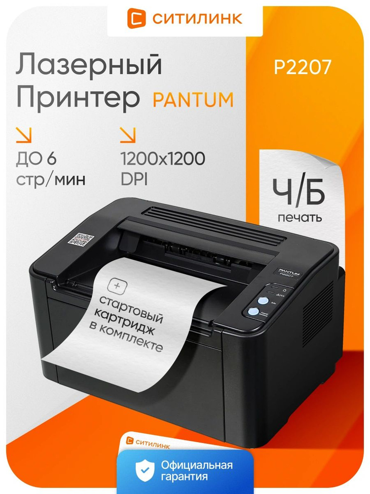 Принтер лазерный Pantum P2207 A4 черный #1
