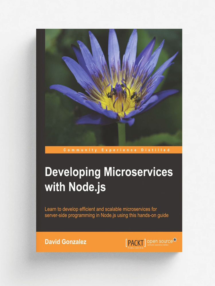 Developing Microservices with Node.js #1