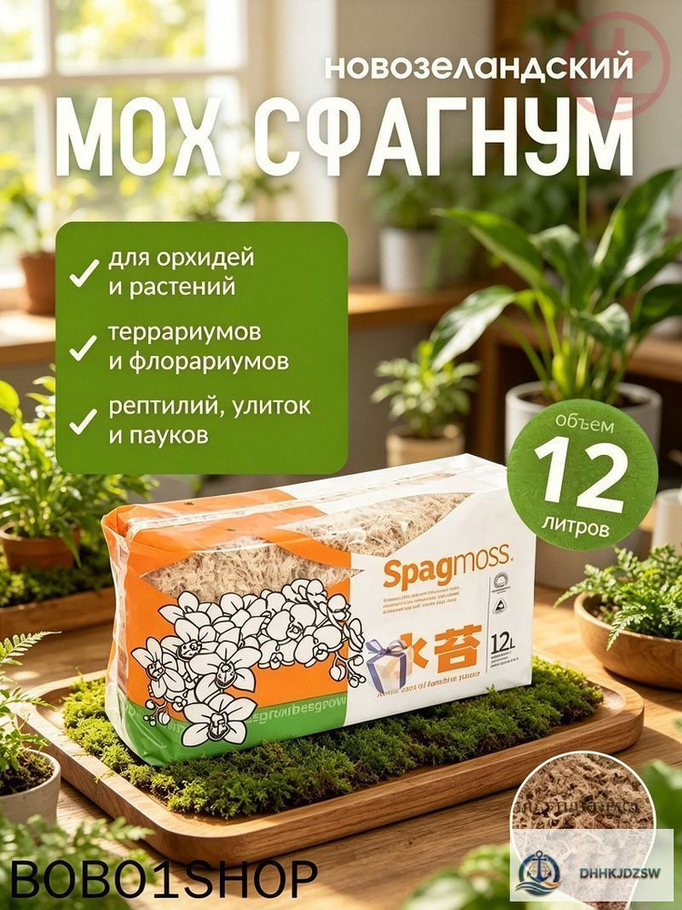 Мох #1