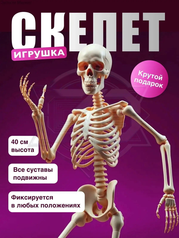 Скелет игрушка #1