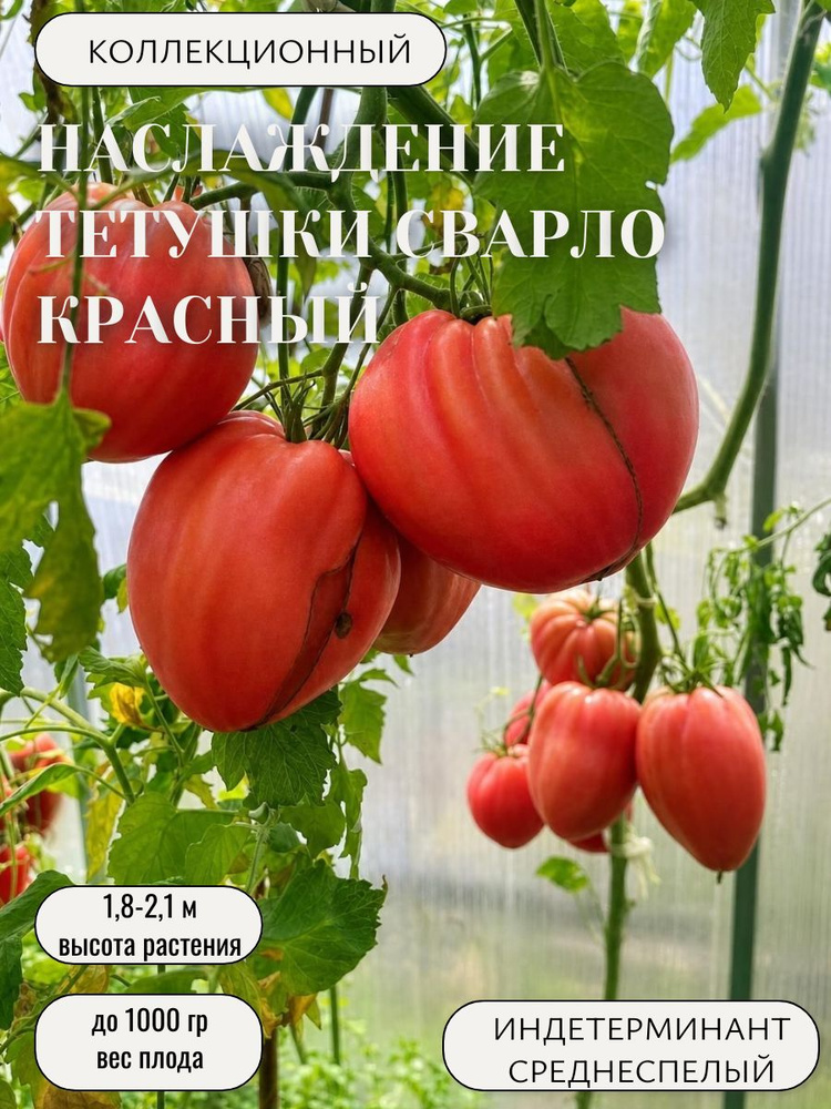 Семена #1