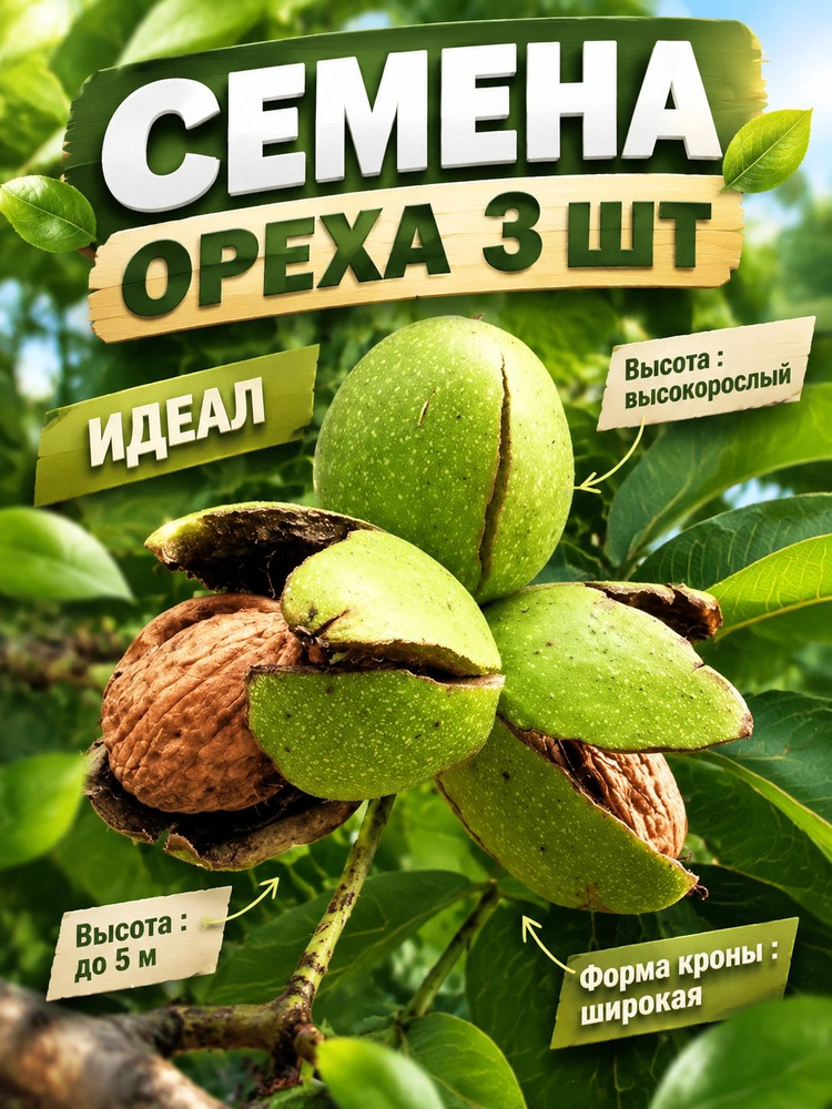 Семена ,3шт #1