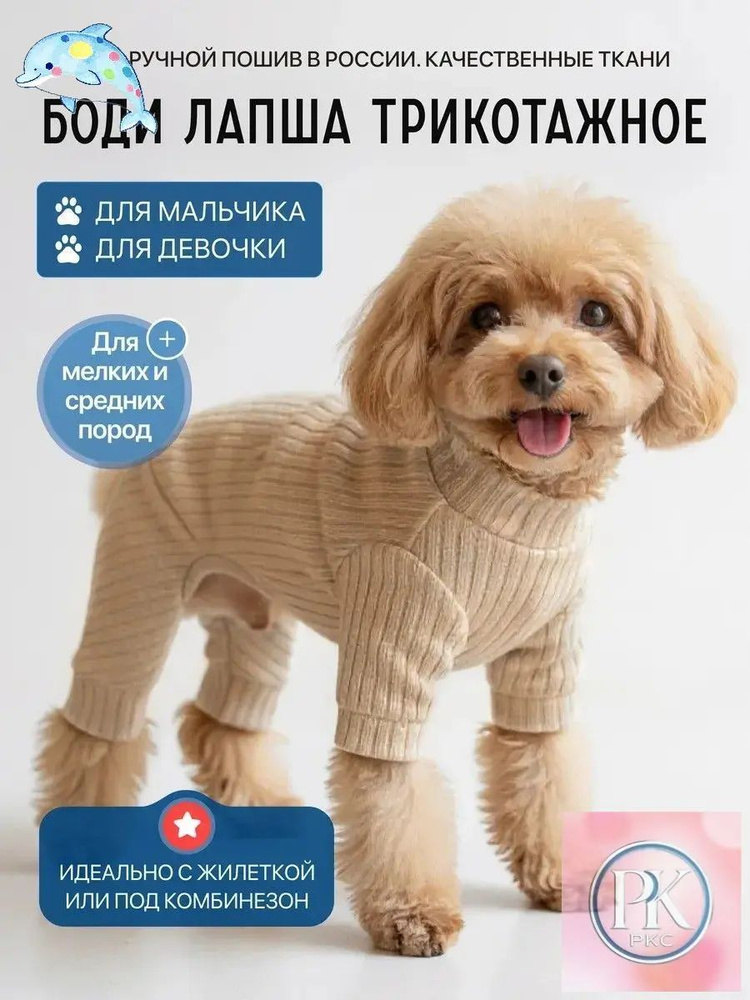 Одежда для животных #1