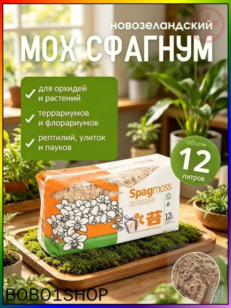 Мох #1