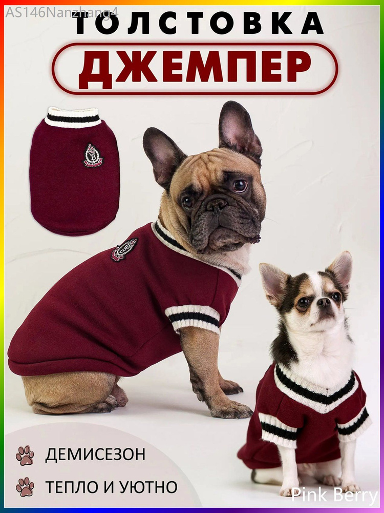 Одежда для животных #1