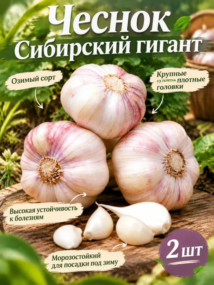 Семена ,2шт #1