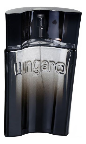 Emanuel Ungaro Ungaro Masculin Туалетная вода для мужчин 90 ml #1