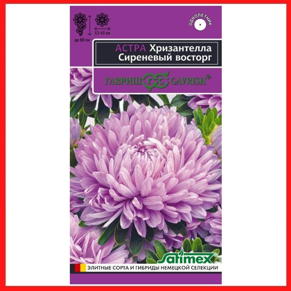 Семена Астра Хризантелла "Сиреневый восторг" 0,05 гр, однолетние цветы для дачи, сада и огорода, клумбы, #1