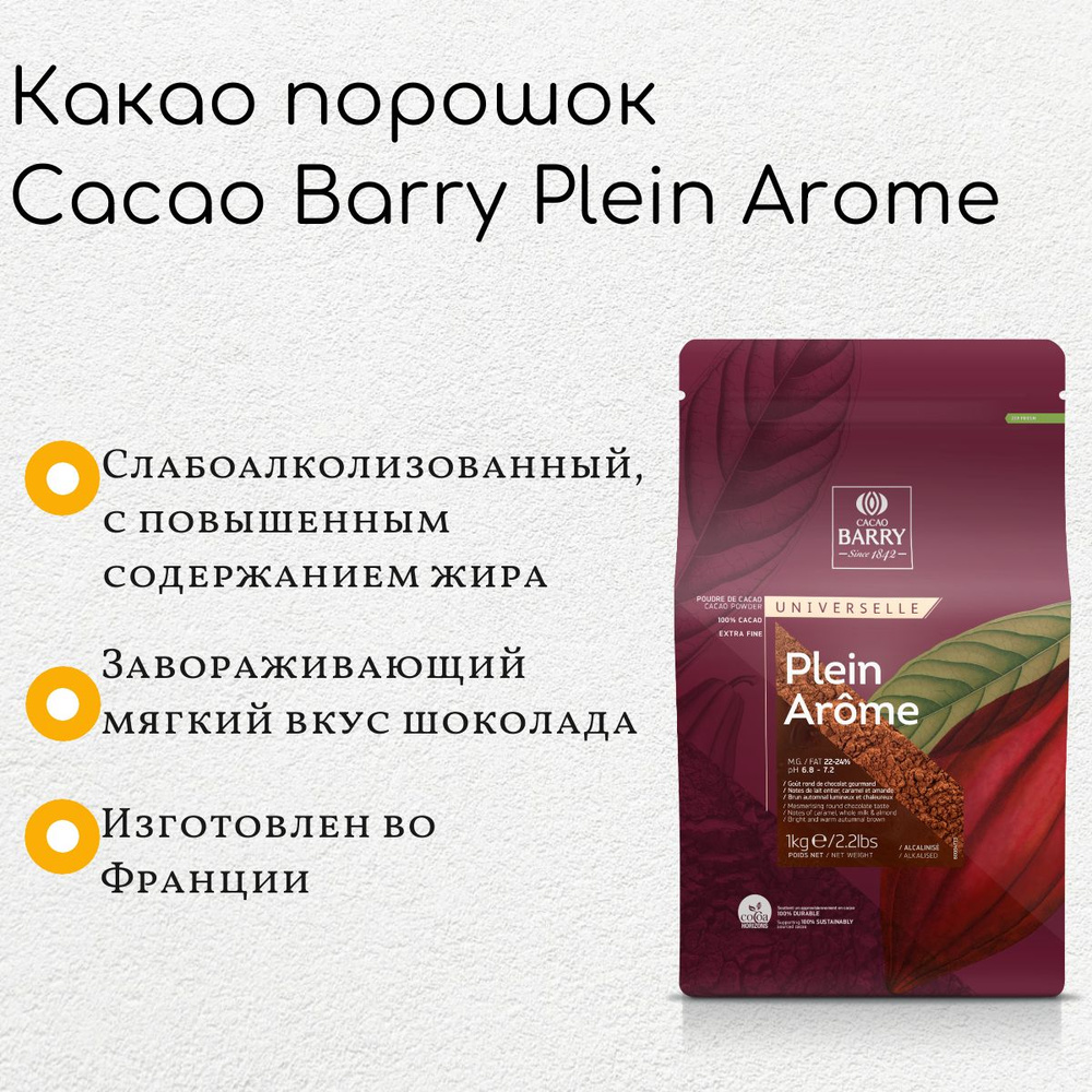 Какао-порошок алкализованный Cacao Barry PLEIN AROME 1кг #1