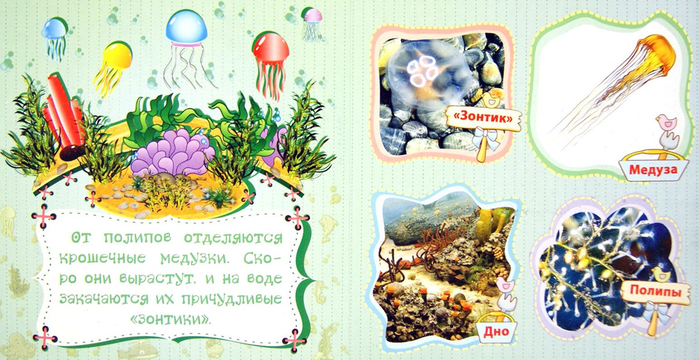 Морские обитатели у себя дома | Мельник Вера - купить с доставкой по ...