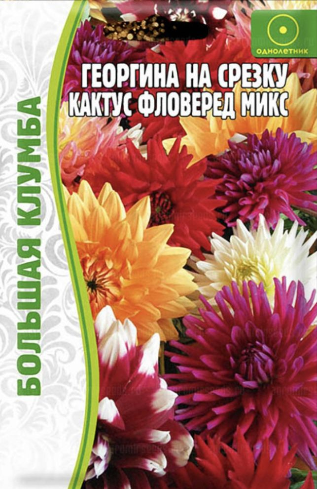 Георгина на срезку Кактус Фловеред Микс, 1 пакет, семена 20 шт, ЧК  #1