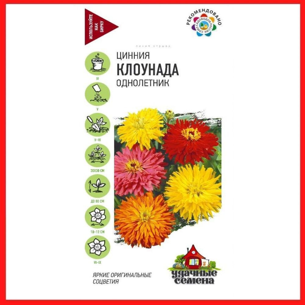 Семена Цинния "Клоунада смесь" 0,5 гр, однолетние цветы для дачи, сада и огорода, клумбы, в открытый #1