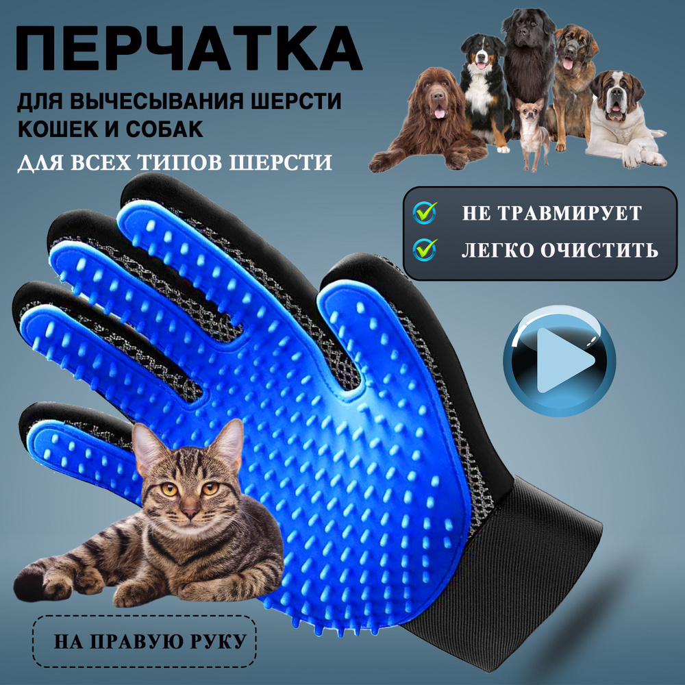 Перчатка для вычесывания шерсти кошек, собак, лошадей, кроликов синяя правая  #1