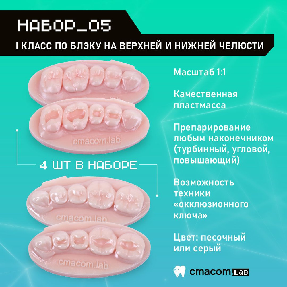 Набор#5 Модели для реставрации зубов/4 штуки/8 зубов/тренировочные ...