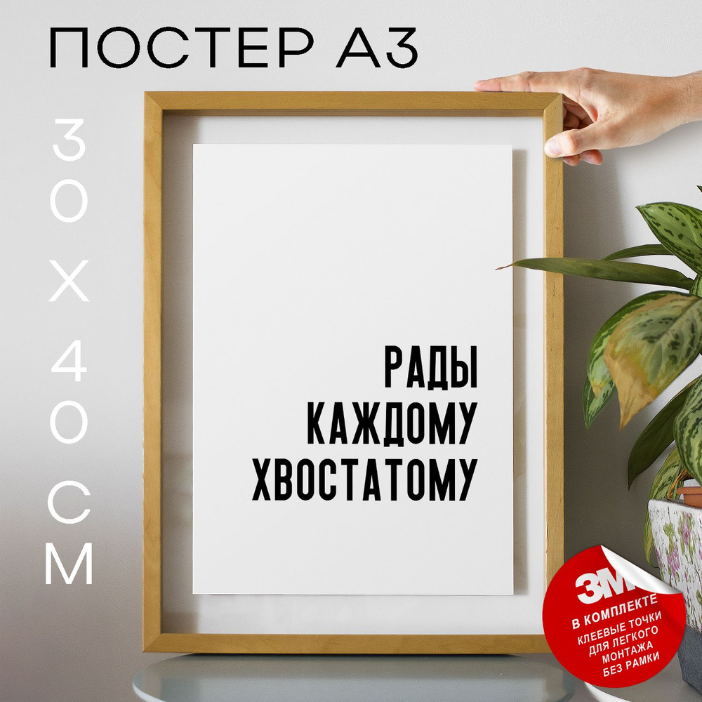 Постер "Рады каждому хвостатому", 40 см х 30 см #1