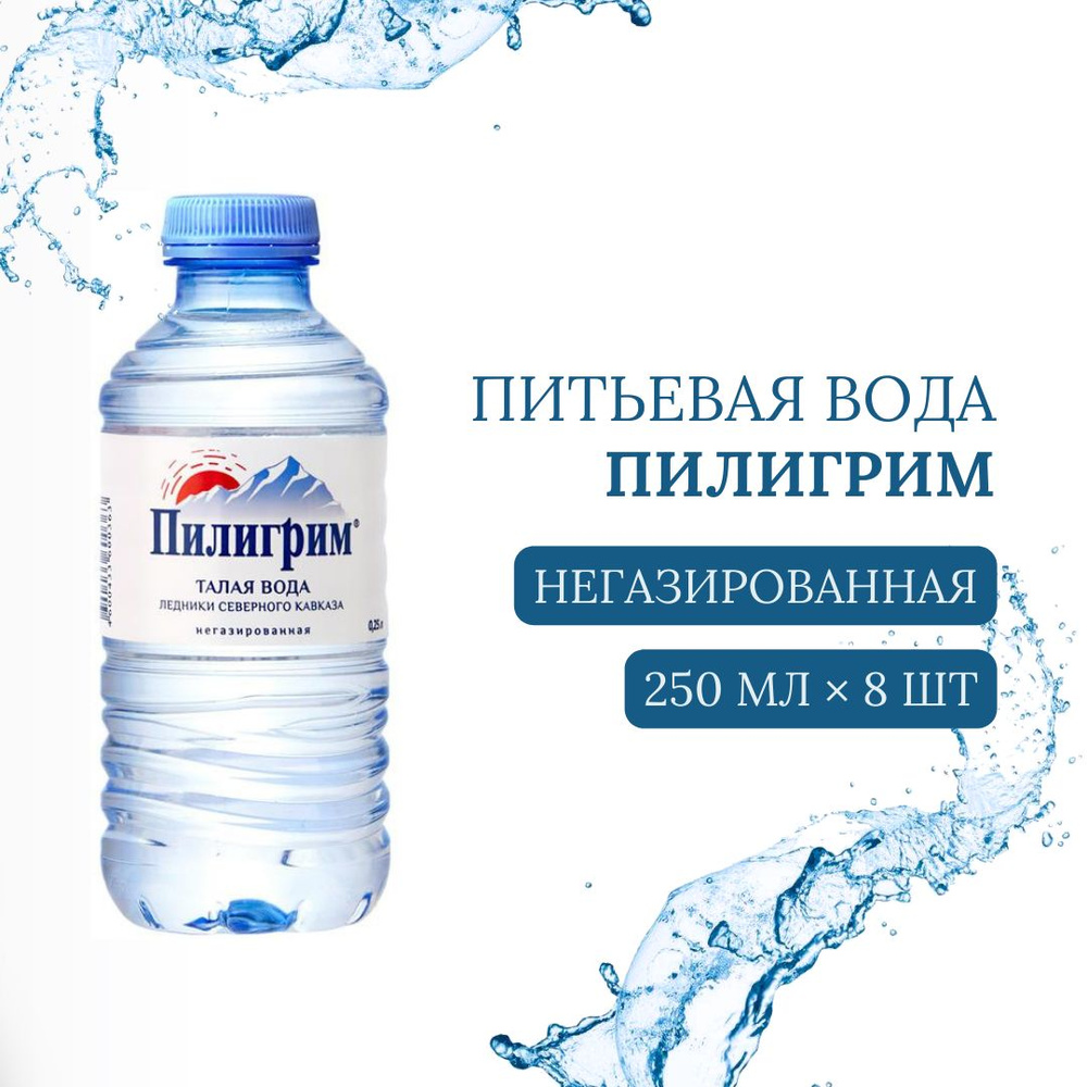 Вода Пилигрим негазированная 0,25 л х 8 бут #1