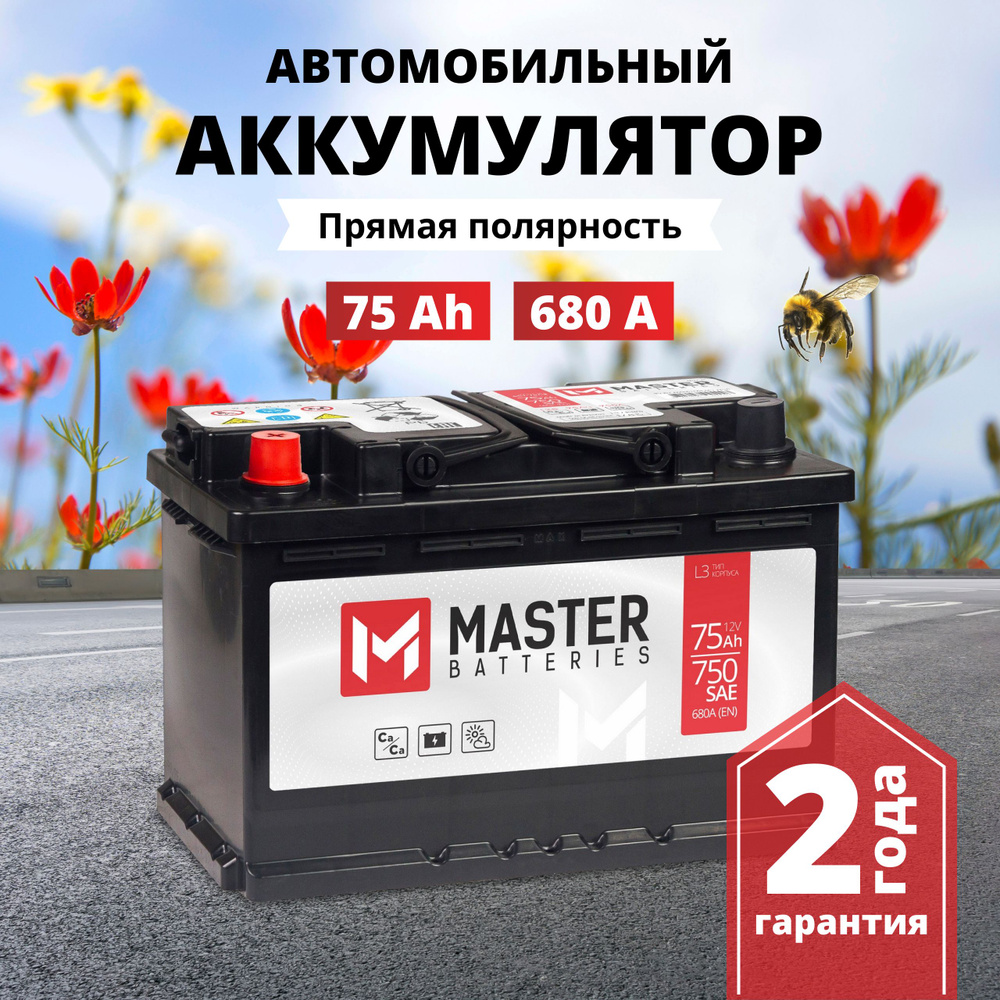 Аккумулятор автомобильный MASTER BATTERIES Мастер купить по выгодной цене в  интернет-магазине OZON (843169945)