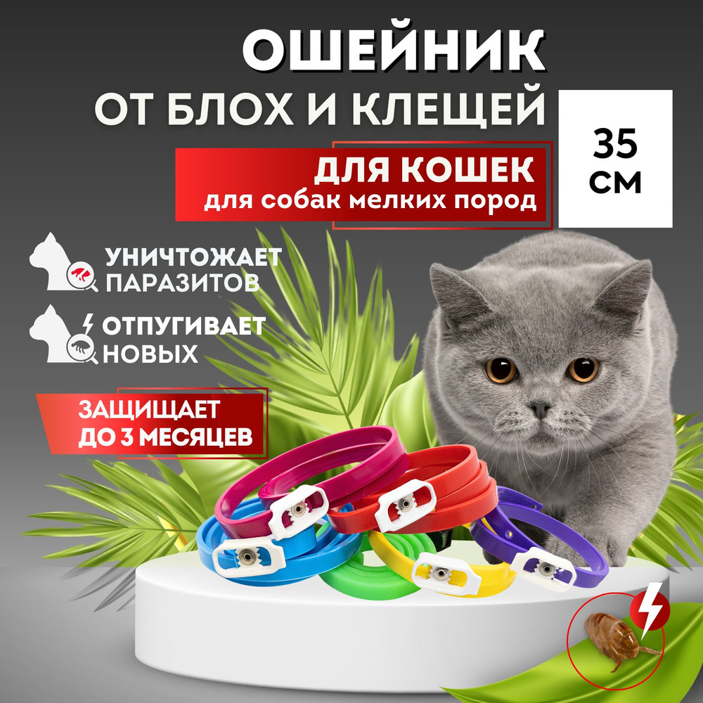 Ошейник от блох и клещей для кошек и собак мелких пород БИО Good Cat , 35  см - купить с доставкой по выгодным ценам в интернет-магазине OZON  (532995000)