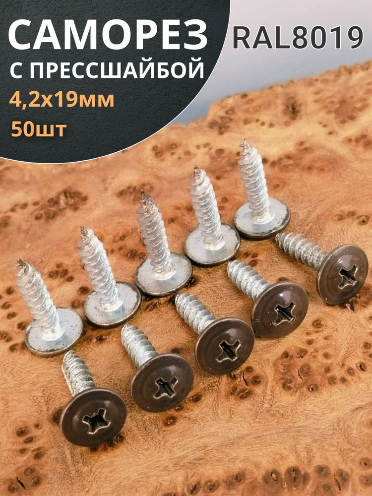 4-2-19-ral8019-50