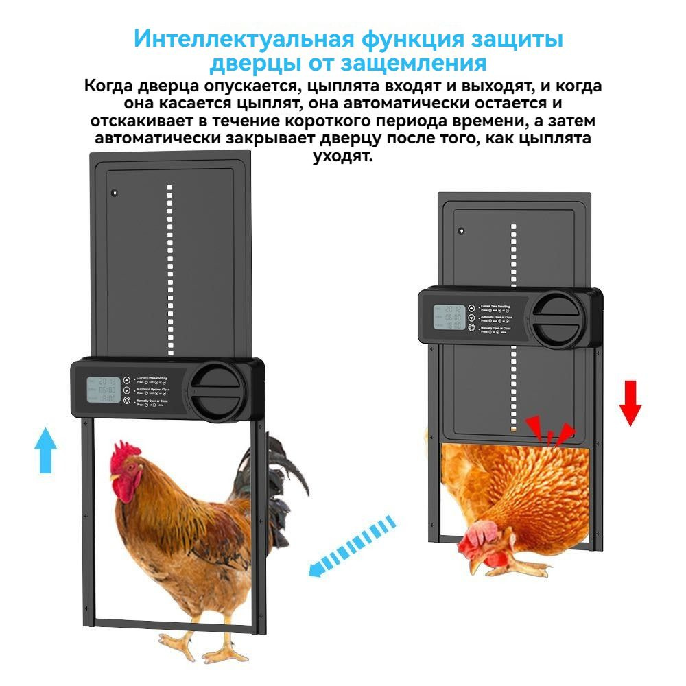 Автоматическая дверь для курятника купить на OZON по низкой цене ...