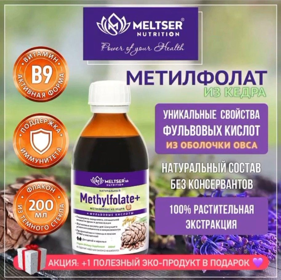 Натуральный растительный экстракт Methylfolate+ (фолиевая кислота В9 +  фульвовые кислоты) 200мл MELTSER NUTRITION - купить с доставкой по выгодным  ценам в интернет-магазине OZON (948612697)