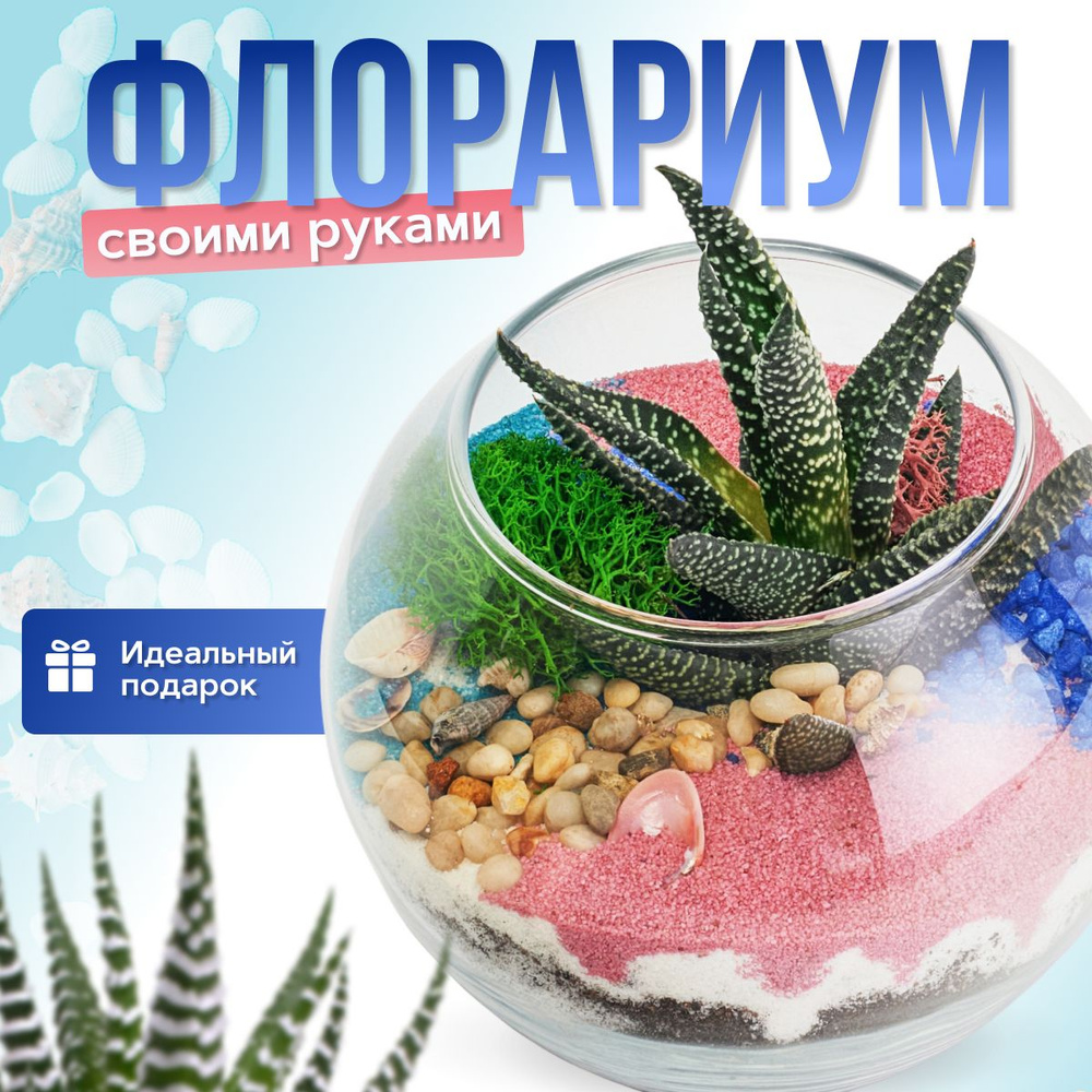 Мини-сад за стеклом: делаем флорариум своими руками | Air plant terrarium, Plants, Plant vessels