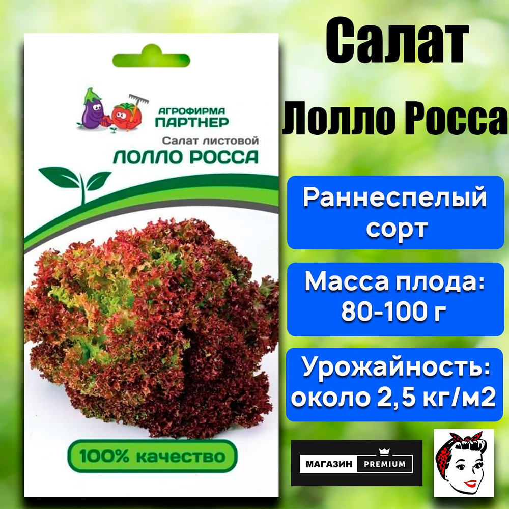 Семена Салат листовой ЛОЛЛО РОССА (0,5 гр) - Агрофирма Партнер  #1