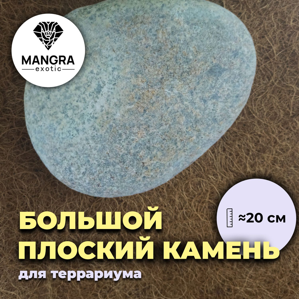 Большой плоский камень для террариума MANGRA exotic (ок. 20 см) - декор для террариума + место для отдыха #1