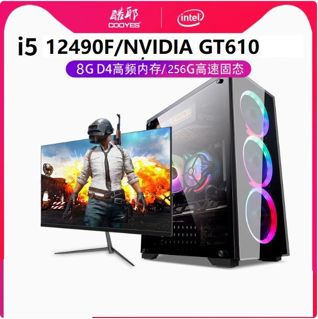 coolyes Системный блок T1 (Intel Core i5-12490F, RAM 8 ГБ, SSD 256 ГБ, NVIDIA GeForce GT 710 (2 Гб), #1