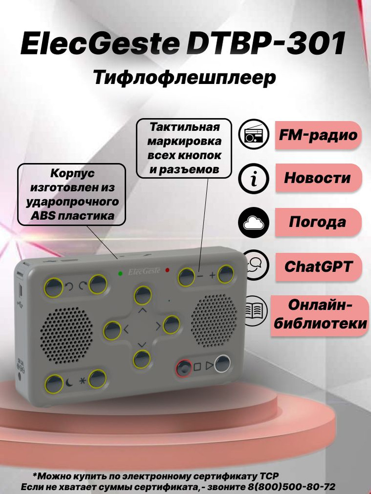 Тифлофлешплеер ElecGeste DTBP-301 #1