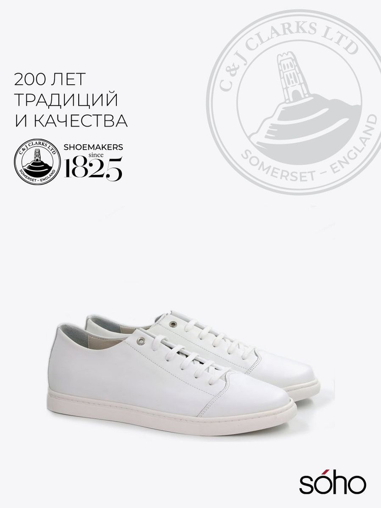 Кеды Clarks #1