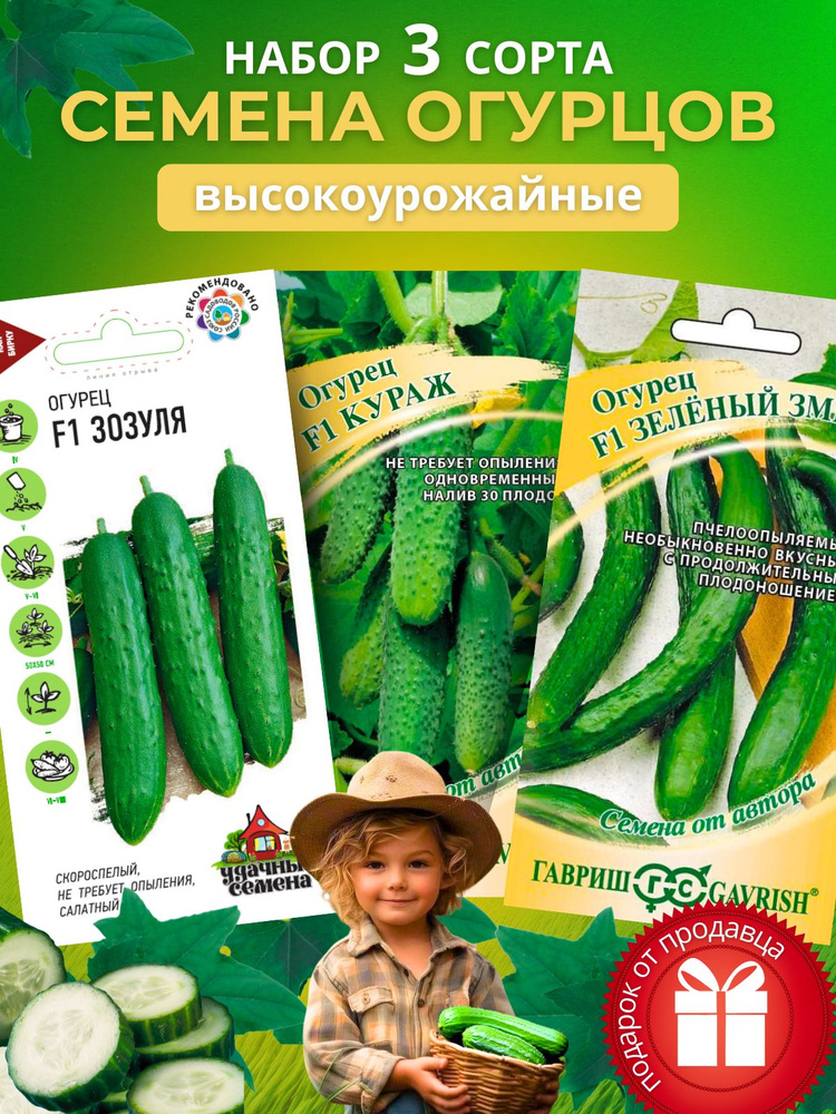 семена огурцов #1