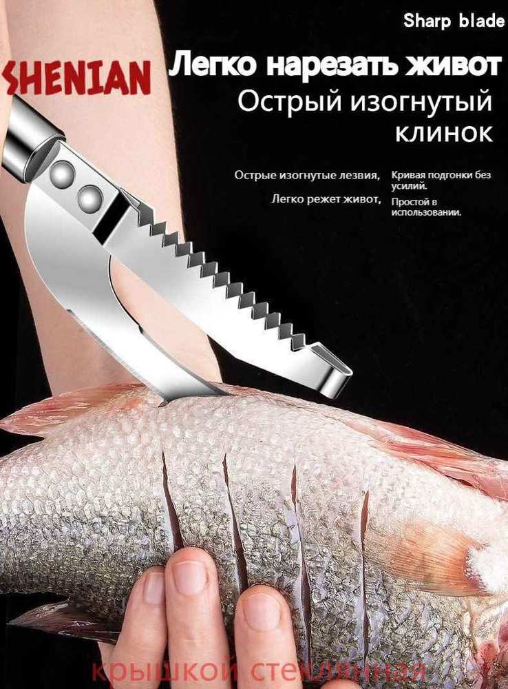 Плоскость рыбьей чешуи #1