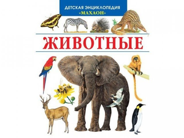 Животные #1