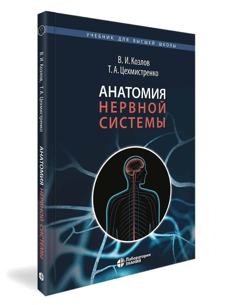 Rus ayollarining katta kokraklari bilan porno