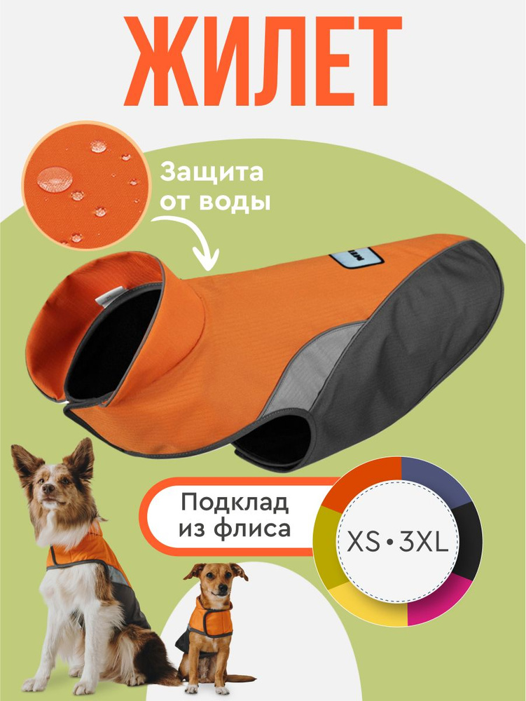 Одежда для животных #1