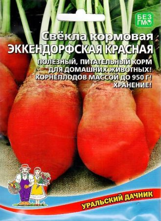 Свекла кормовая Эккендорфская красная 8 гр #1