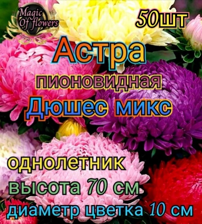 Семена #1