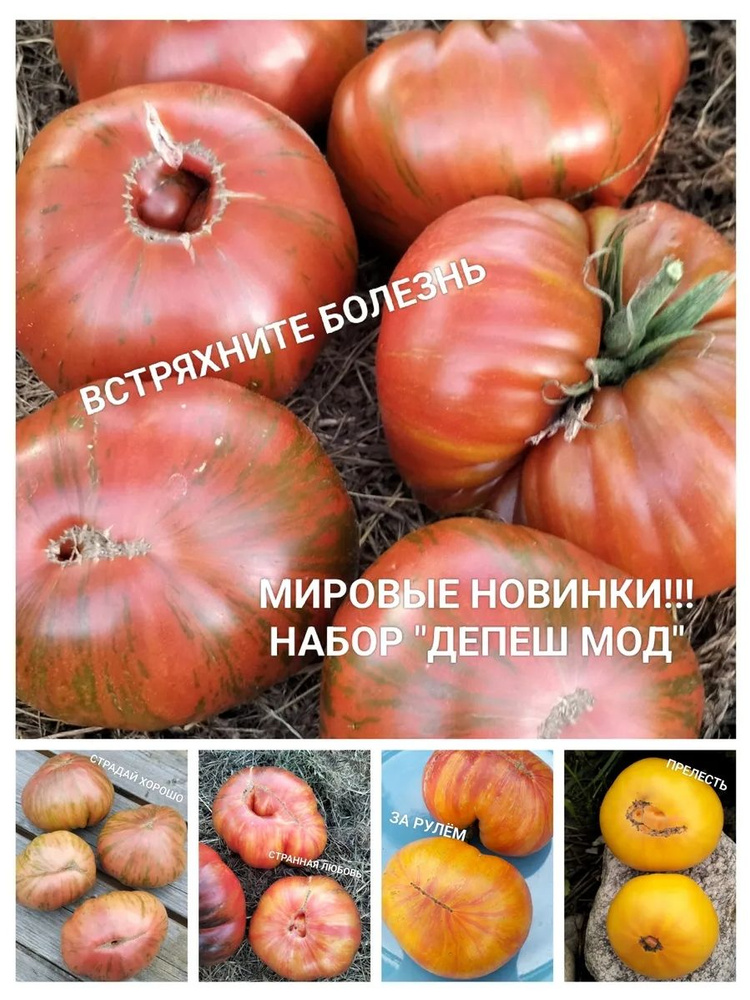 Семена #1