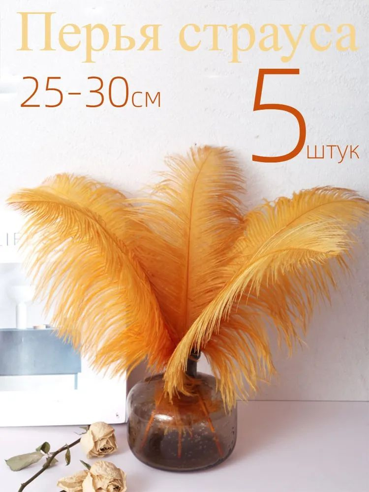 Перья страуса #1