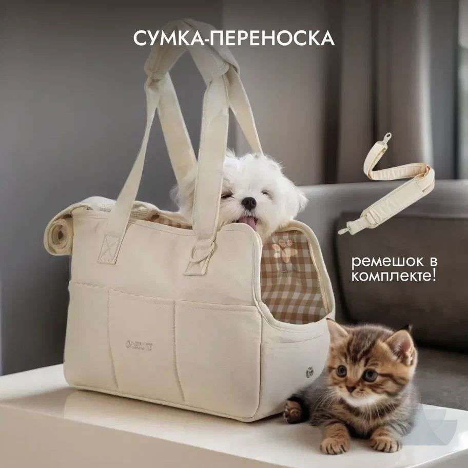 Переноска #1