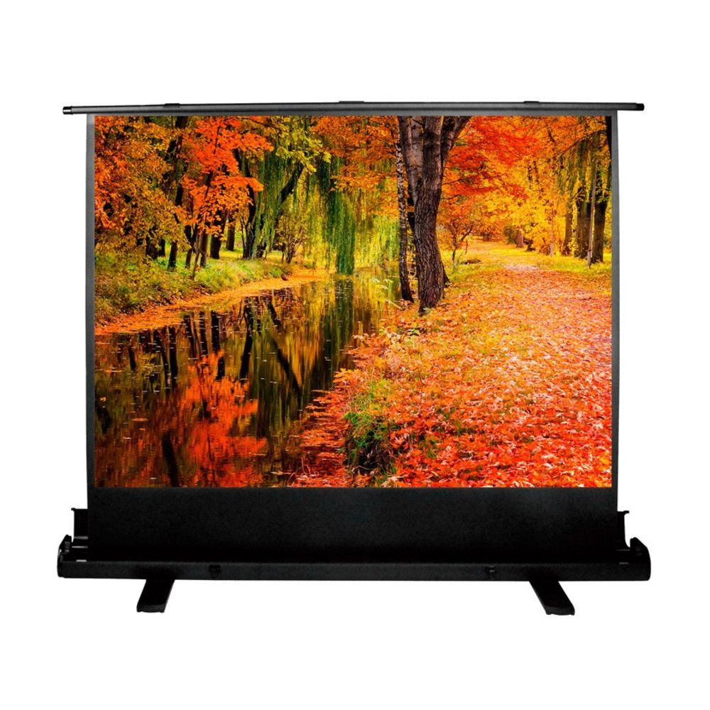 Cactus CS-PSFLE-200X150 Экран 150x200см FloorExpert 4:3 напольный рулонный #1