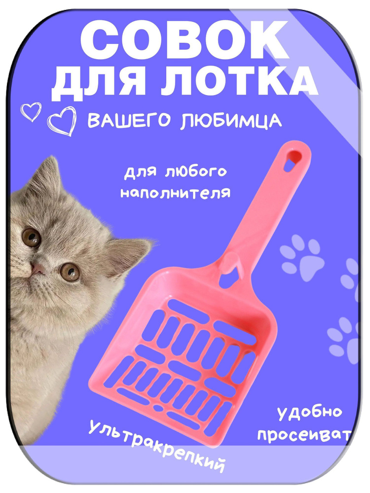 Совок для туалета #1