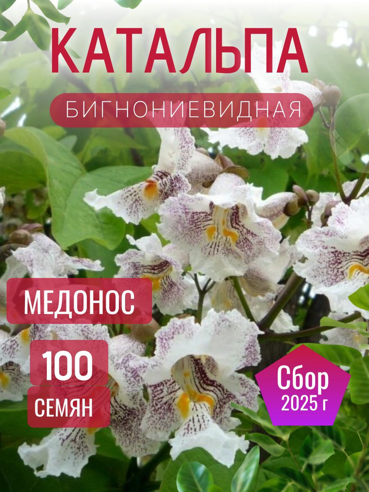 Семена ,100шт #1