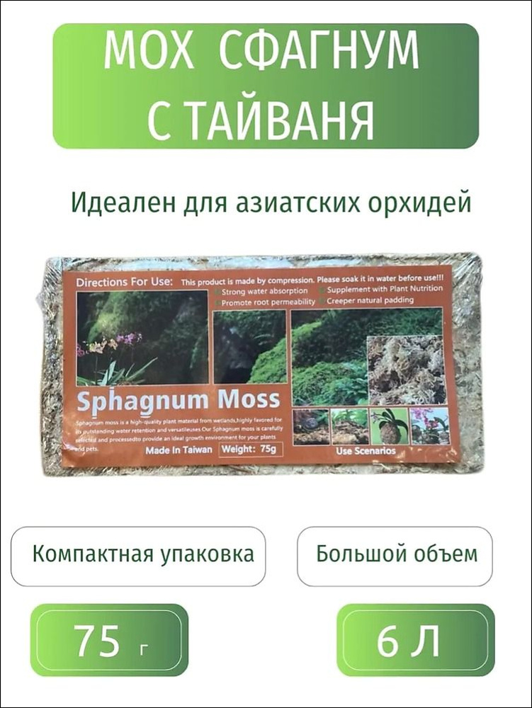 Мох #1