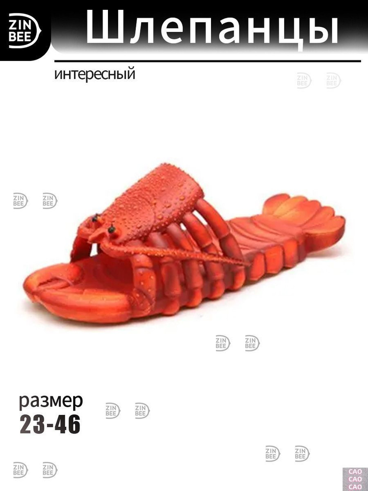 Шлепанцы #1