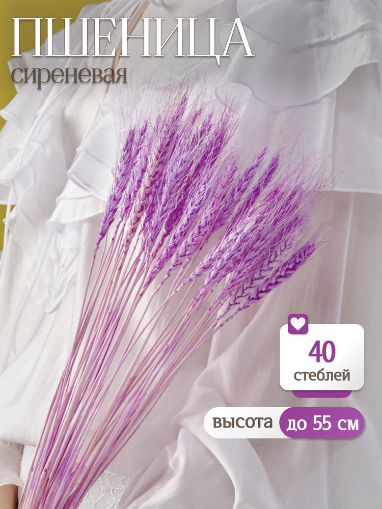 Пшеница сухоцвет сиреневая, 40 стеблей, сухоцветы для интерьера и декора от Elka.bio #1