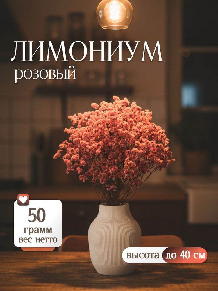 Сухоцветы лимониум розовые для декора от Elka.bio #1